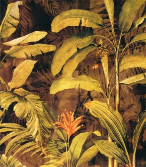 HC3D329-热带雨林